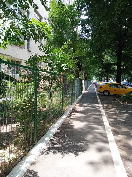 Baciului, Zetarilor strada